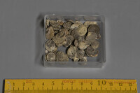 F 01840
<br/>
<br/>
<em></em>